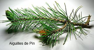aiguilles