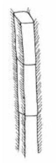 allelotriche