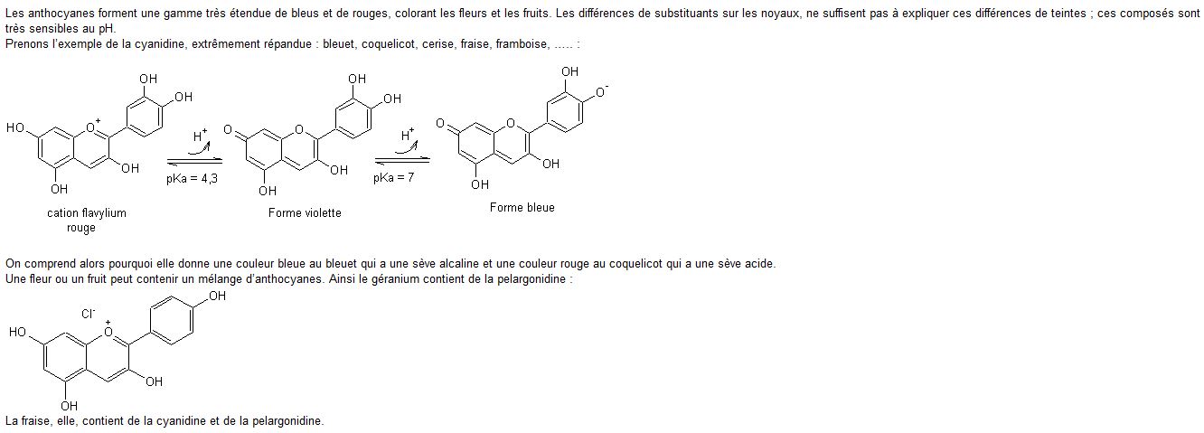 anthocyanes